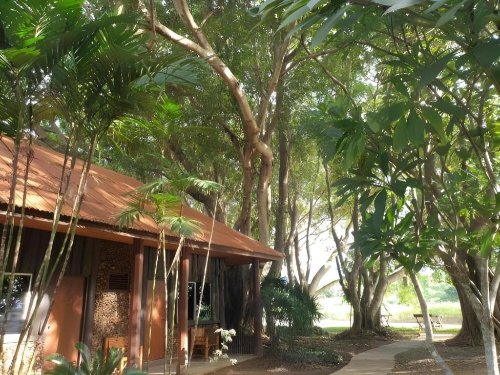 Pai Hotsprings Spa Resort Dış mekan fotoğraf